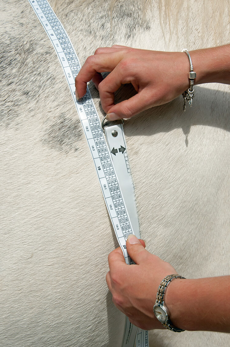 What's The Best Way To Track Weight Loss: A Measuring Tape Or Scale?