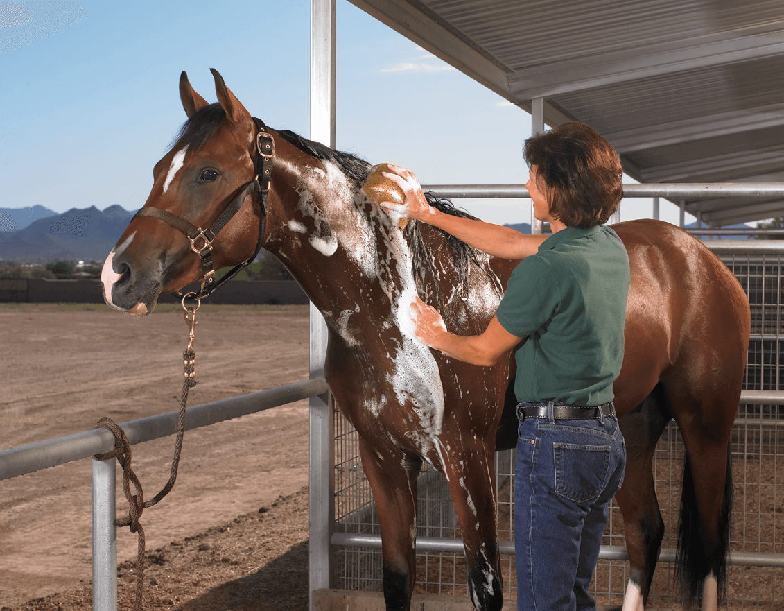 DIY Mane and Tail Detangler  HOMEMADE HORSE HACKS! Works as a Coat  Conditioner Too! 