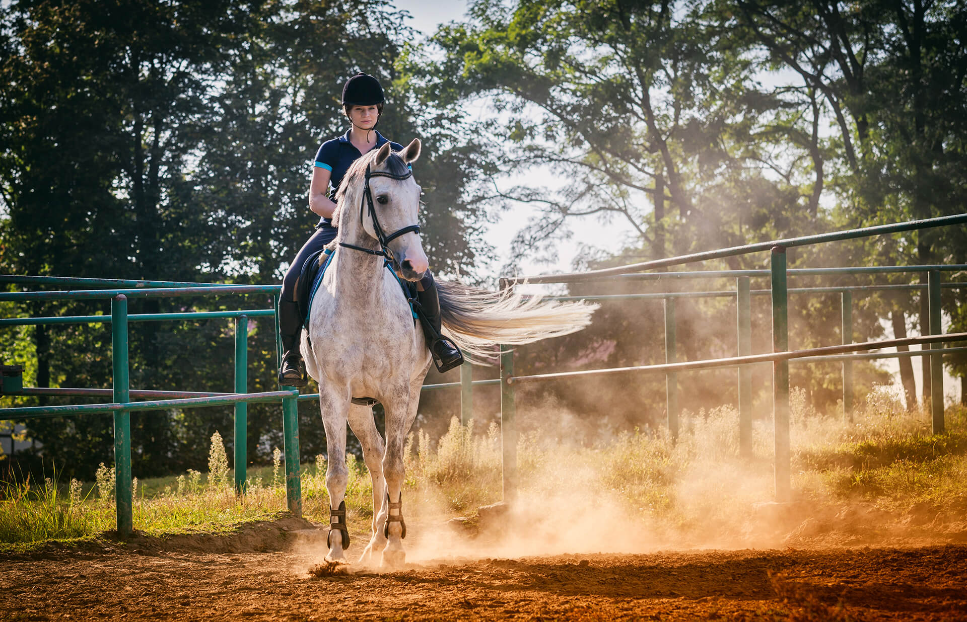 girl riding gray horse