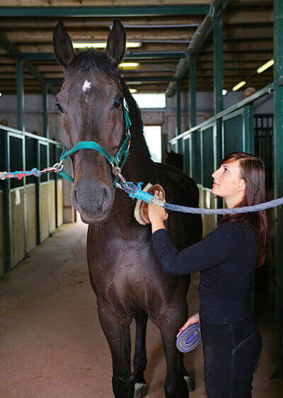 grooming-a-mini-health-check-up