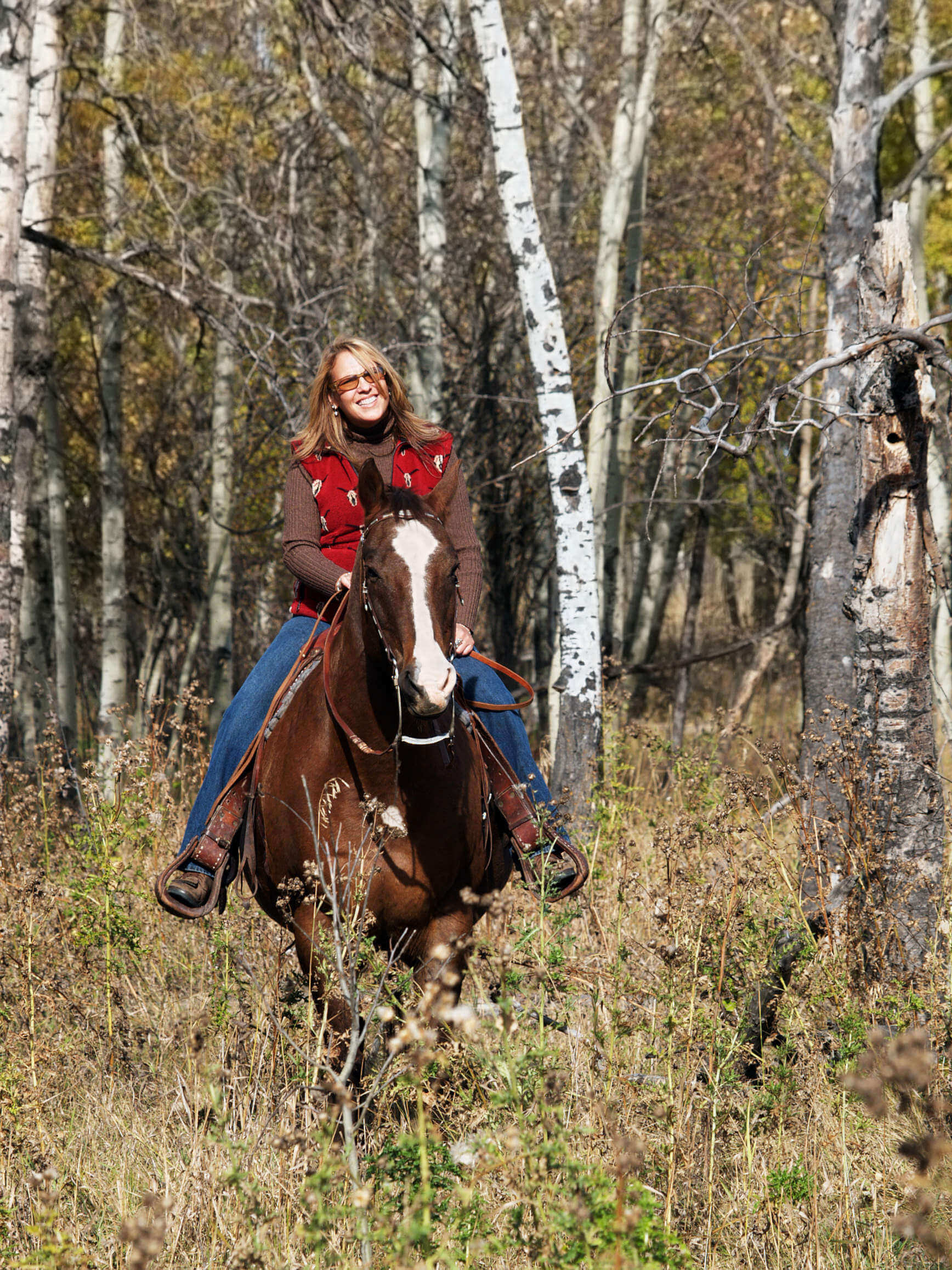 to-buy-or-not-to-buy-what-to-look-for-when-buying-a-horse