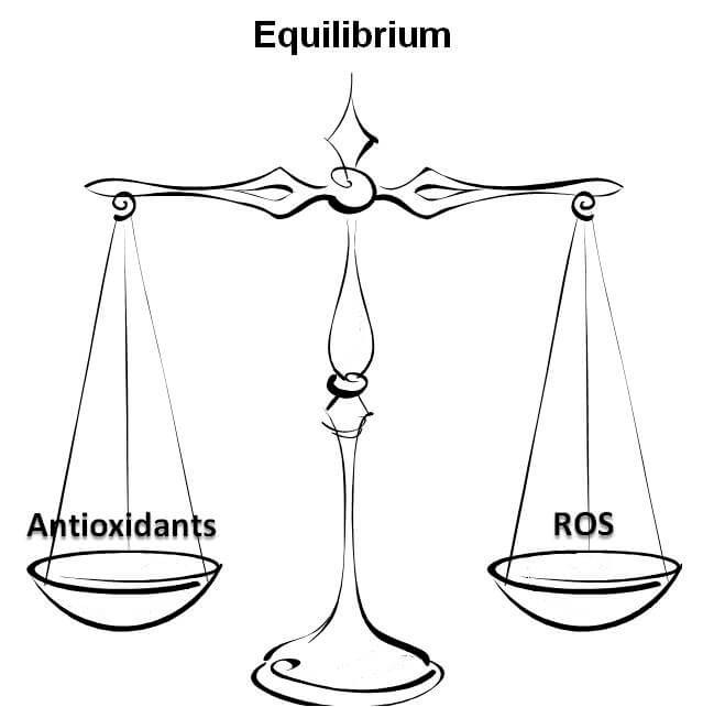 Equilibrium Scale