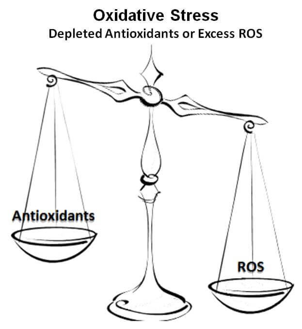 Oxidative Stress Scale
