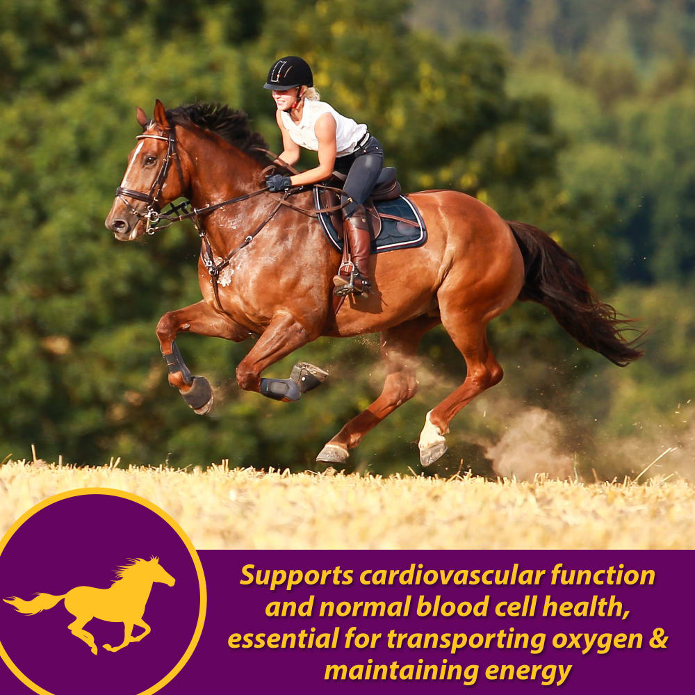 horse-health-red-cell-pellets-other-images-1