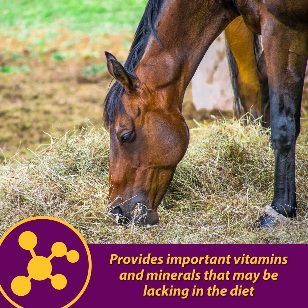horse-health-red-cell-pellets-other-images-3