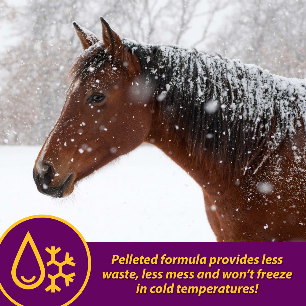 horse-health-red-cell-pellets-other-images-5