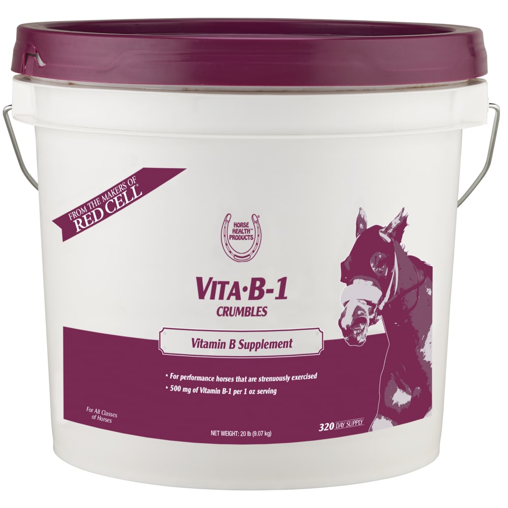 21-31649-hh-vita-b1-20lb-amazon-main-image