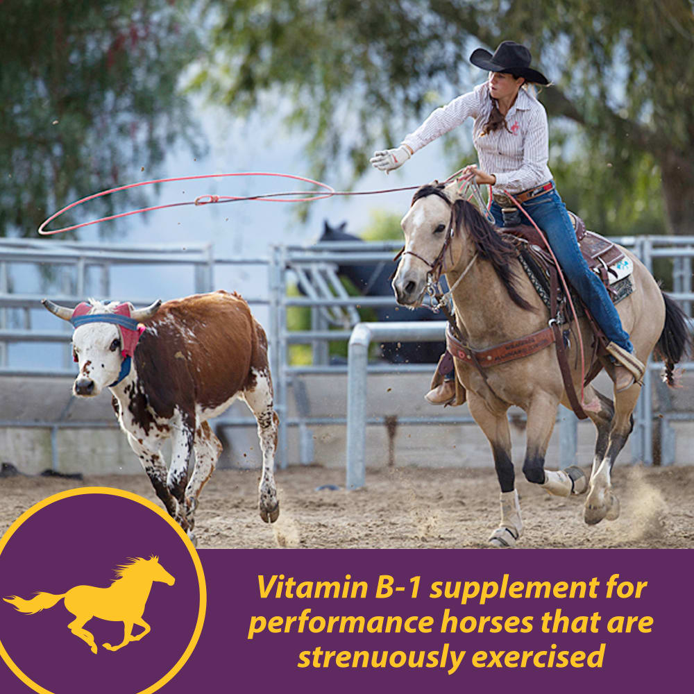 horsehealth-vita-b-1-crumbles-other-images