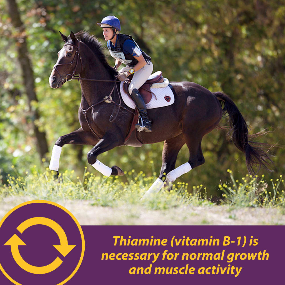 horsehealth-vita-b-1-crumbles-other-images2