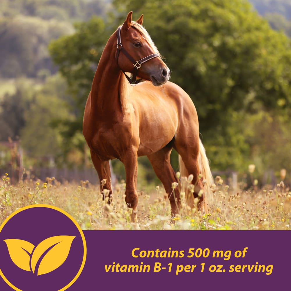 horsehealth-vita-b-1-crumbles-otherimages3