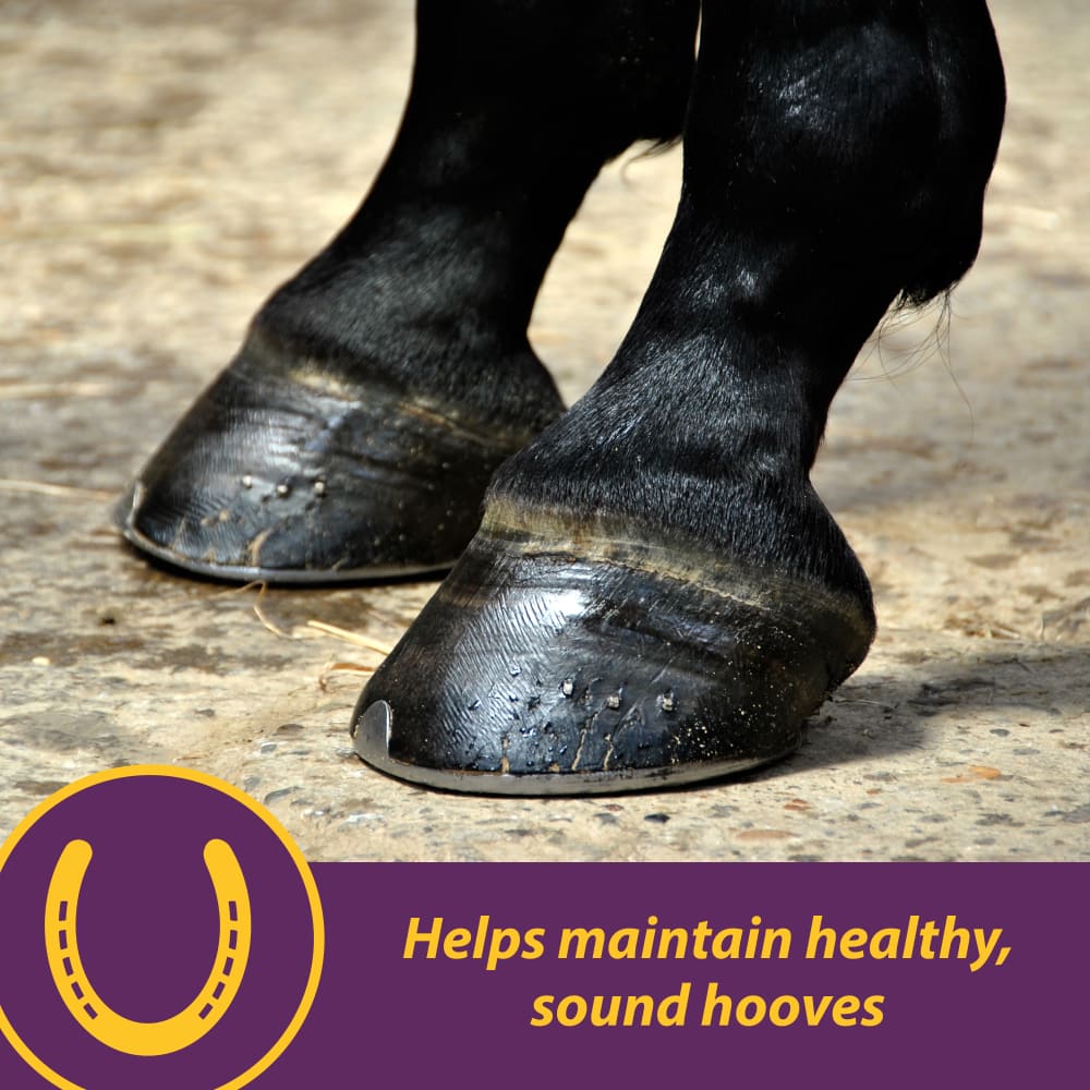 horsehealth-products-vitabiotin-other-images