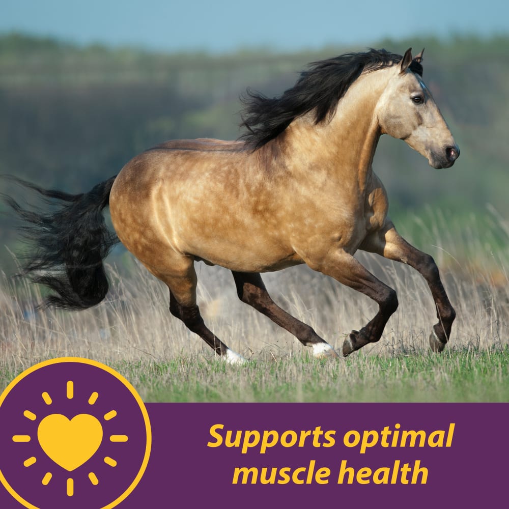 horsehealth-vitaeandselenium-otherimages