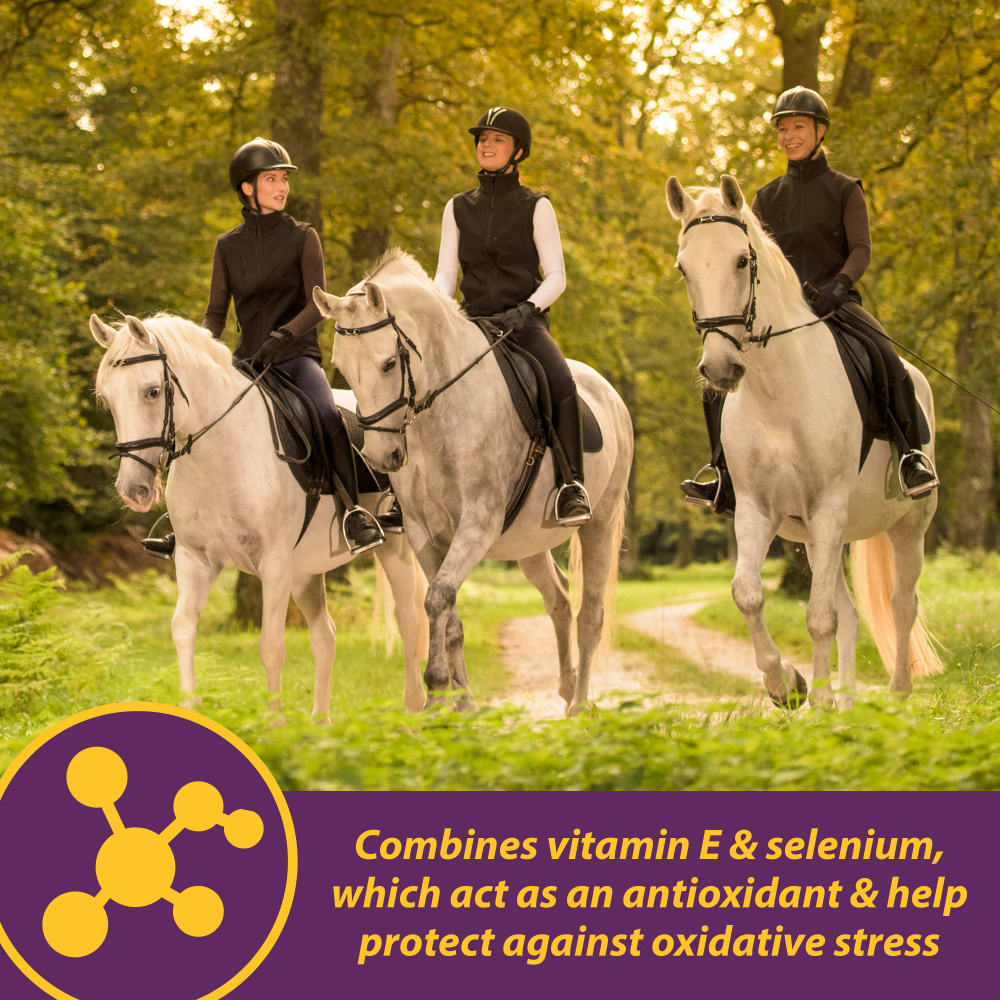 horsehealth-vitaeandselenium-otherimages2