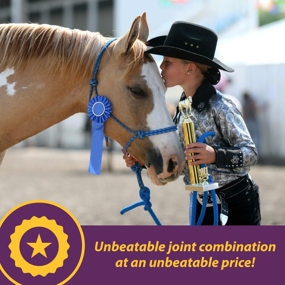 horse-health-jointcomboclassic-other-images