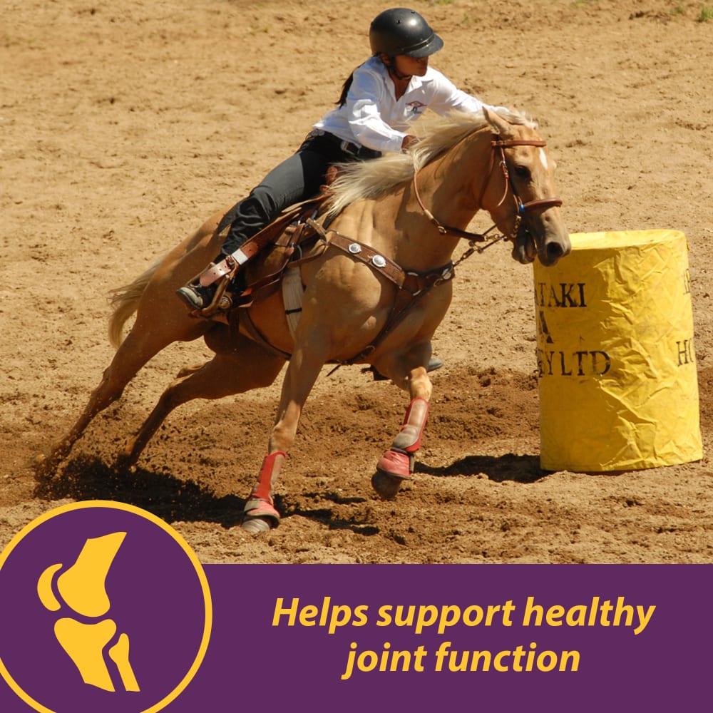 horse-health-jointcomboclassic-other-images2