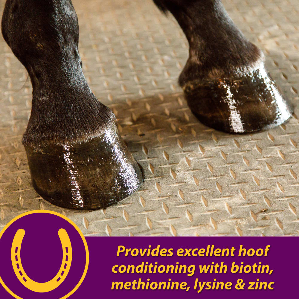 086621051171-horsehealthproducts-jointcombohoofandcoat8lbs-hooves-informational-images