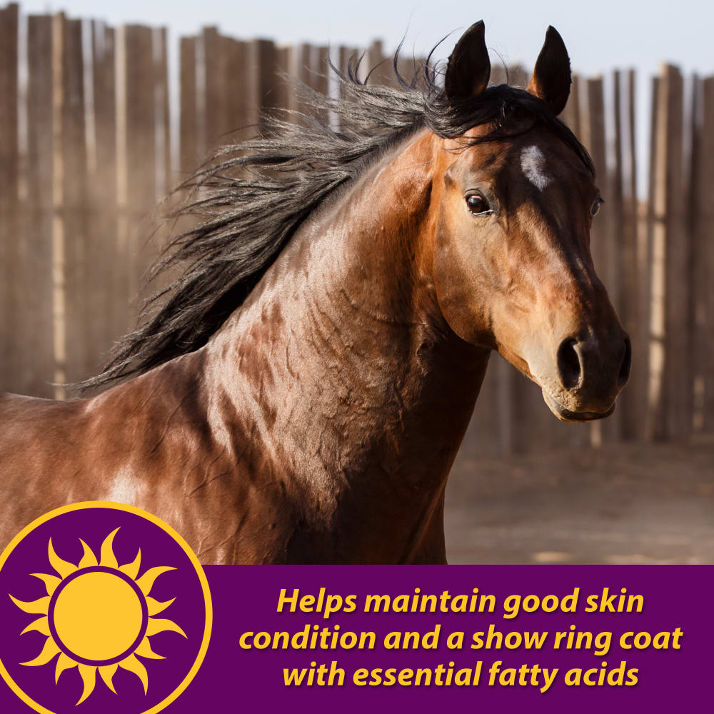 086621051171-horsehealthproducts-jointcombohoofandcoat8lbs-horsehead-informational-images