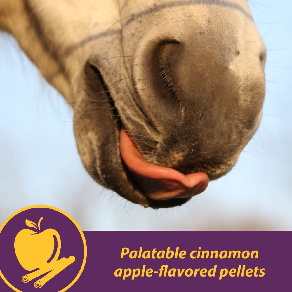 horse-health-jointcomboclassic-other-images4