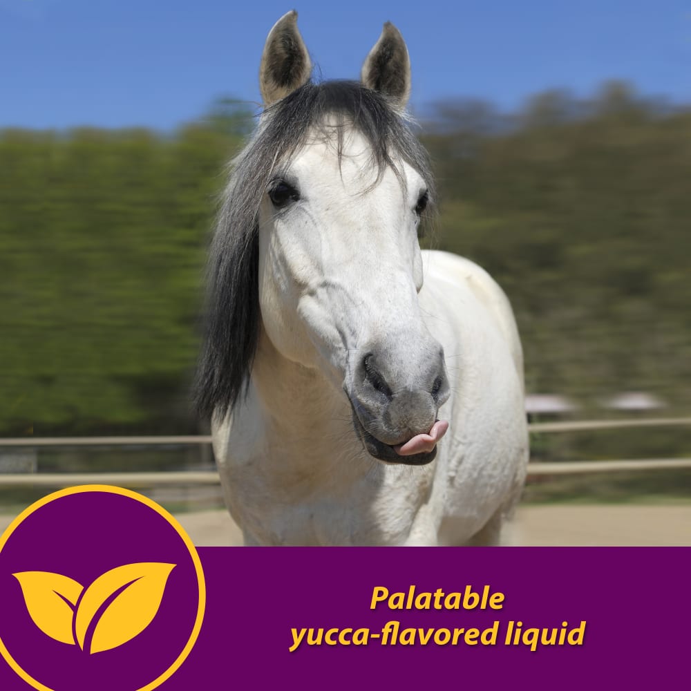 086621741102-horsehealth-redcellgallon-grayhorse-informational-images