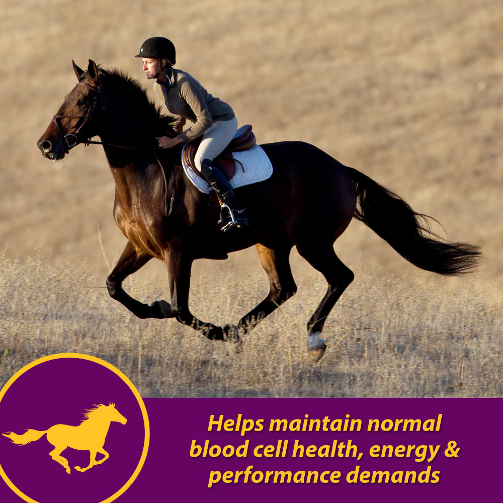 086621741102-horsehealth-redcellgallon-horse-running-informational-images