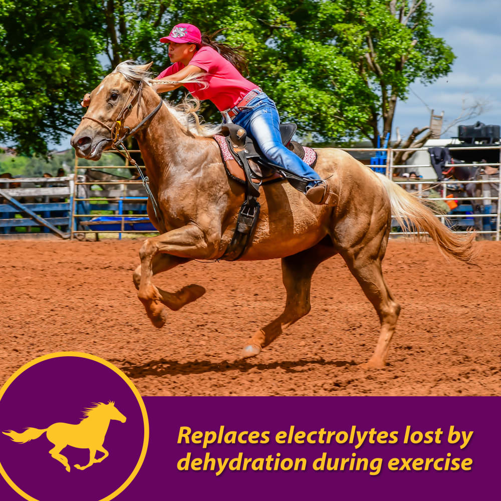 horse-health-apple-dex-electrolyte-other-images