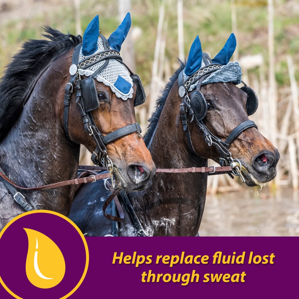 horse-health-apple-dex-electrolyte-other-images2
