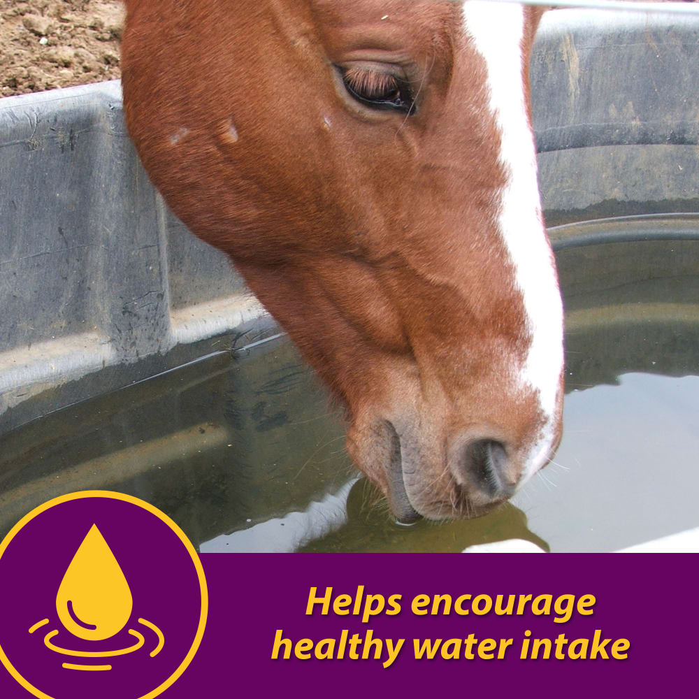 horse-health-apple-dex-electrolyte-other-images4