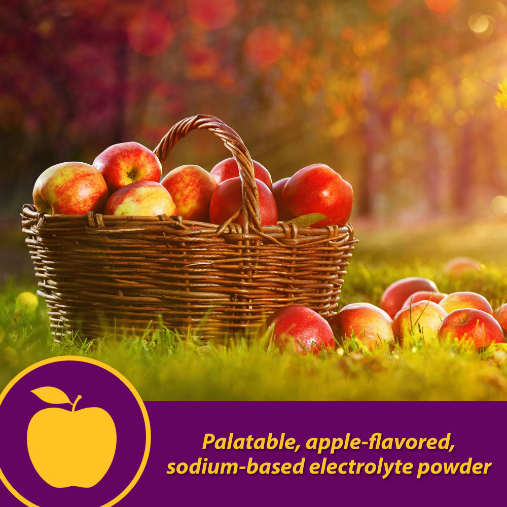 horse-health-apple-dex-electrolyte-other-images6