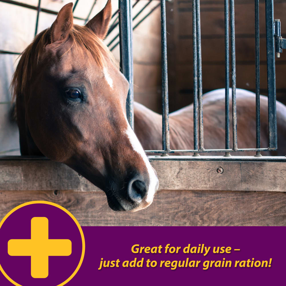 horse-health-apple-dex-electrolyte-other-images7