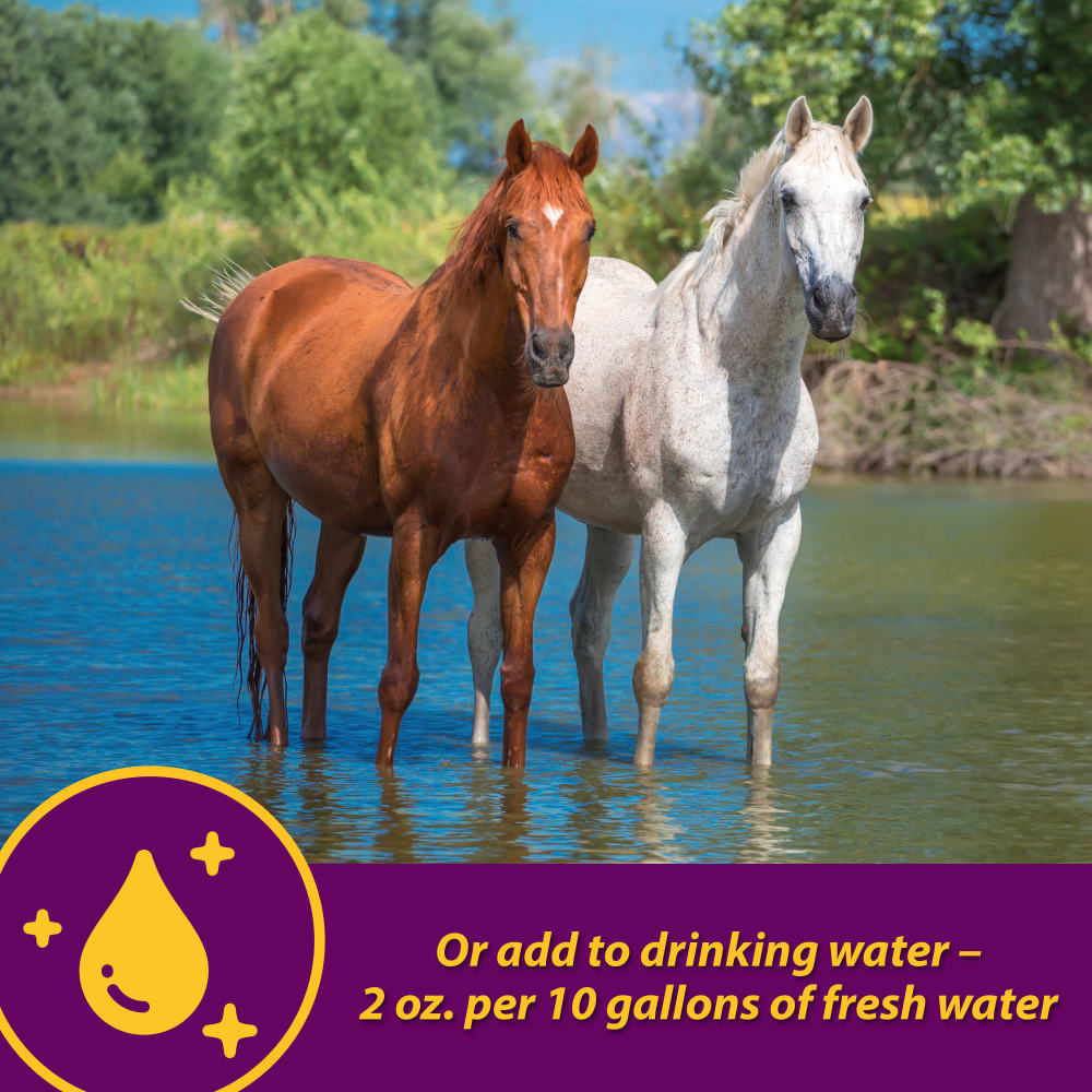 horse-health-apple-dex-electrolyte-other-images8
