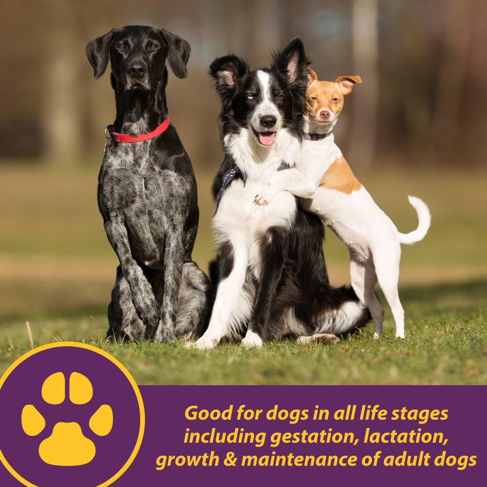 086621799028-horsehealth-canineredcell-32oz-hero-image